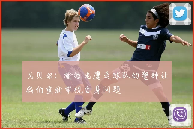 戈贝尔：输给老鹰是球队的警钟让我们重新审视自身问题